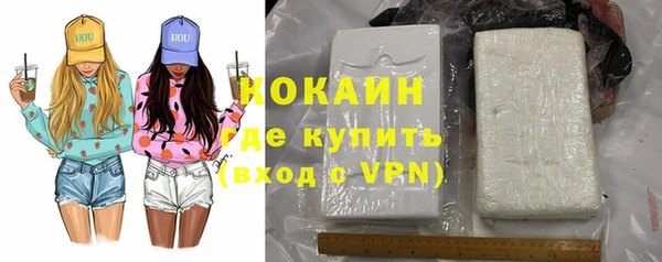 сатива Кулебаки