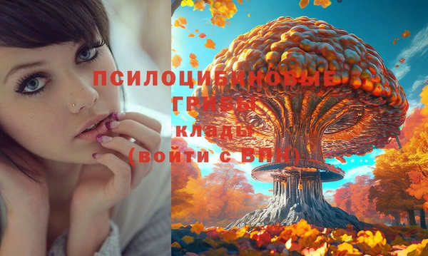 сатива Кулебаки