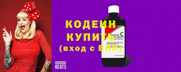 сатива Кулебаки