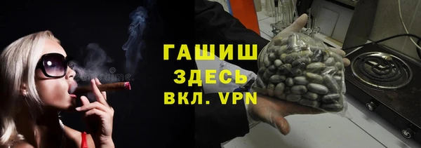 сатива Кулебаки