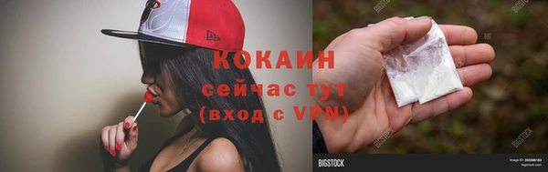 сатива Кулебаки