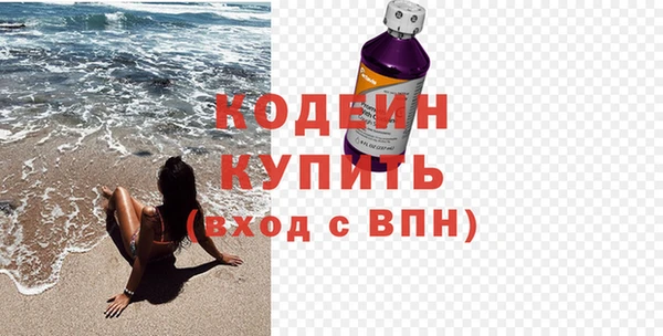 сатива Кулебаки
