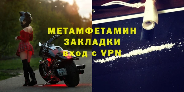 сатива Кулебаки