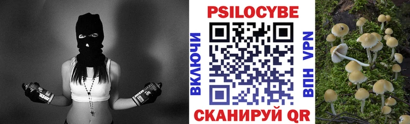 купить наркотик  Энгельс  Псилоцибиновые грибы Psilocybe 
